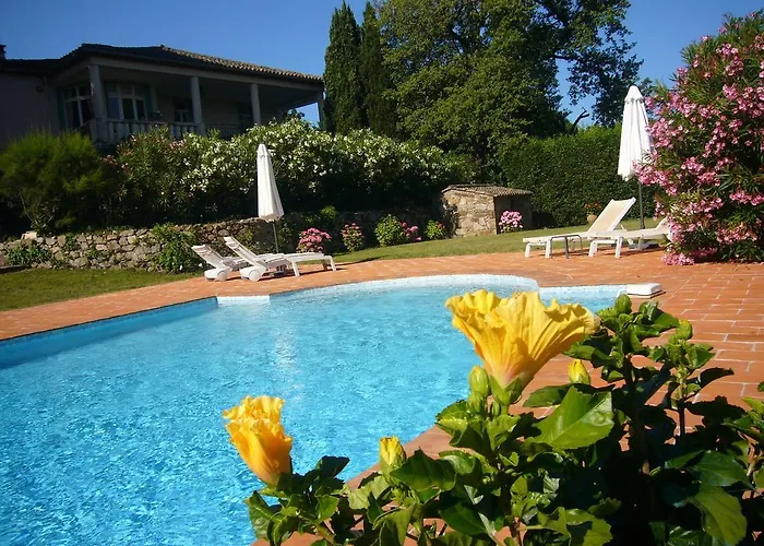 Le Point D'orgue Saint Tropez